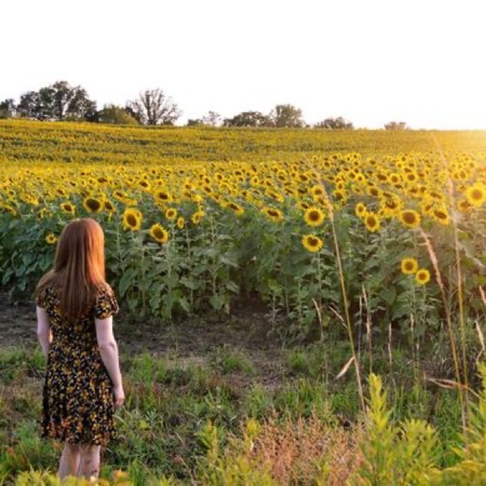 Anthro Maeve Black & Marigold Yellow Floral Swing Sundress Dress - Picture 2 of 16